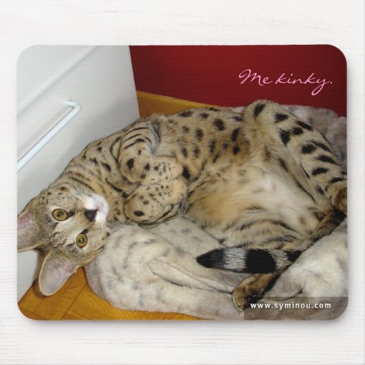 F1 Savannah Cat kinky Mousepad Muismat (Voorkant)