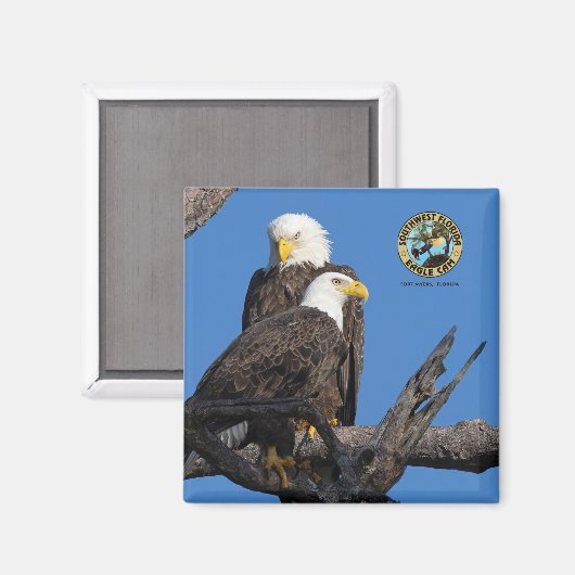 F23 & M15 - Een nieuw tijdperk in het Nest Magneet (Voorkant / Achterkant)