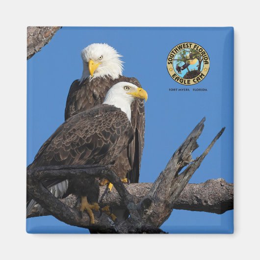 F23 & M15 - Een nieuw tijdperk in het Nest Magneet (Voorkant)