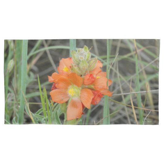 F40 Oranje wilde bloemen Scarlet Mallow Kussensloop (Voorkant)