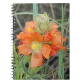 F40 Oranje wilde bloemen Scarlet Mallow Notitieboek