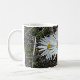 F42 Witte Wilde Bloemen Gladde Aster Koffiemok