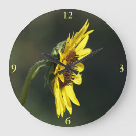 F43 Yellow Wildflower Black-eyed Susan Grote Klok