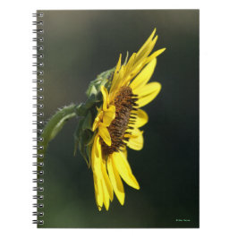 F43 Yellow Wildflower Black-eyed Susan Notitieboek