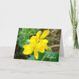 F44 Gele wilde bloemen Wilde mosterd Kaart