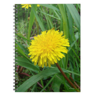 F45 Paardenbloem Notitieboek