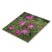 F46 Wilde Rozen Tegeltje (Zijkant)