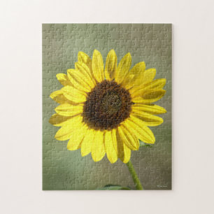 F47 Gele wilde bloem Algemene Eenjarige Zonnebloem Legpuzzel