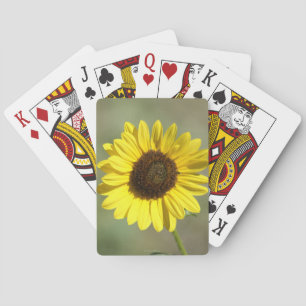 F47 Gele wilde bloem Algemene Eenjarige Zonnebloem Pokerkaarten