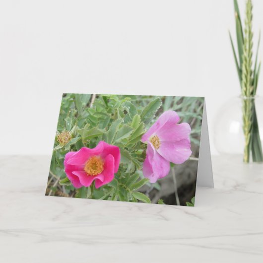 F4 Wilde Rozen Kaart (Voorkant)