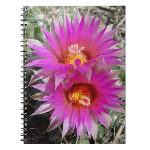 F5 Bal Cactus Bloemen "Escobaria vivipara" Notitieboek