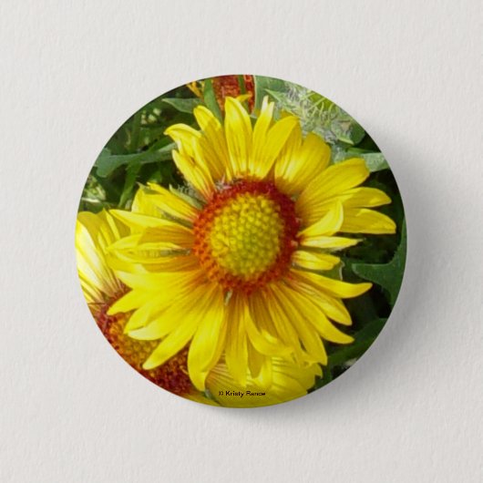 F6 Gele wilde bloem Gaillardia Ronde Button 5,7 Cm (Voorkant)