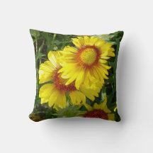 F6 Gele wilde bloemen Gaillardia