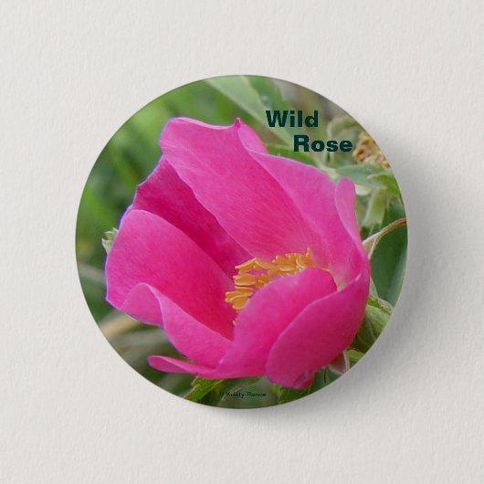 F7 Alberta Wilde Roos Ronde Button 5,7 Cm (Voorkant)