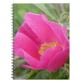 F7 Wild Roos Bright roze bloesem Notitieboek