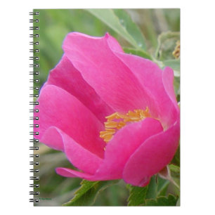 F7 Wilde Roos Helder Roze Bloesem Notitieboek