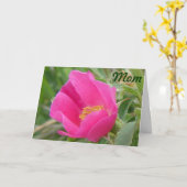 F7 Wilde Roos Kaart (Gele Bloem)