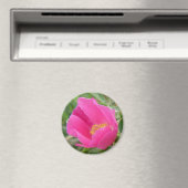 F7 Wilde Roos Magneet (Insitu (Vaatwasser))