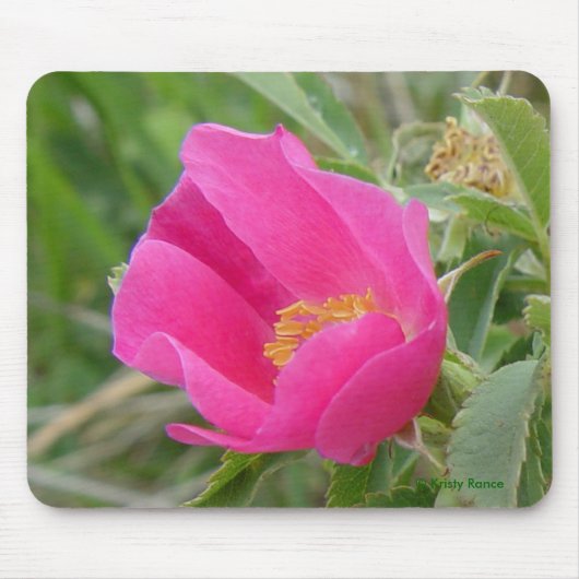 F7 Wilde Roos Muismat (Voorkant)