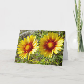F8 Gele Wilde Bloemen Gaillardia Kaart