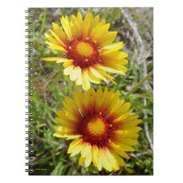 F8 Gele wilde bloemen Gaillardia Notitieboek