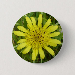 F9 Gele Wilde Bloem Geitebaard Tragopogon dubius Ronde Button 5,7 Cm
