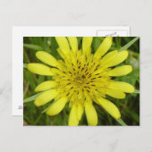 F9 Gele wildebloem Briefkaart (Voorkant / Achterkant)