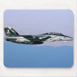 F-14 MUISMAT