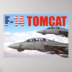 F-14 POSTER TOMCAT "WINGMAN"