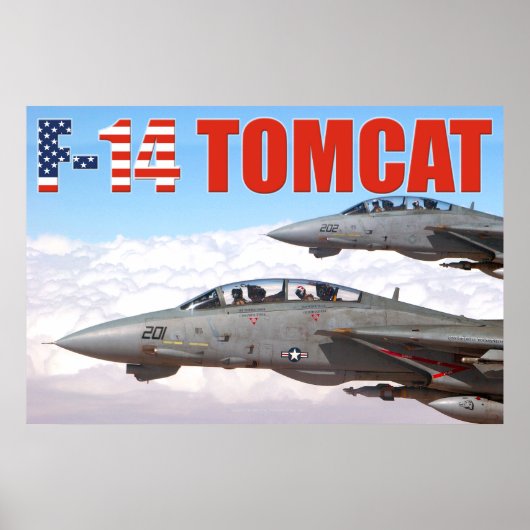 F-14 POSTER TOMCAT "WINGMAN" (Devant)