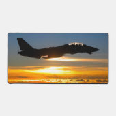 F-14 TOMCAT (Recto)