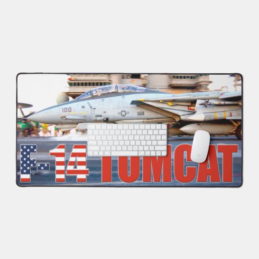 F-14 TOMCAT (Clavier et souris)