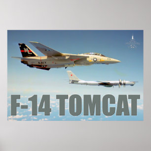 F-14 TOMCAT "BEER" POSTER