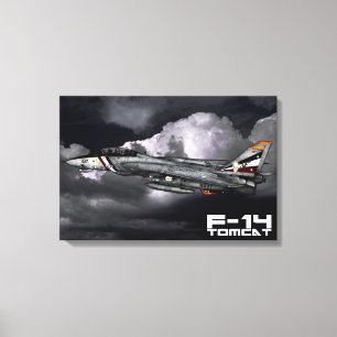 F-14 Tomcat Canvas Afdruk