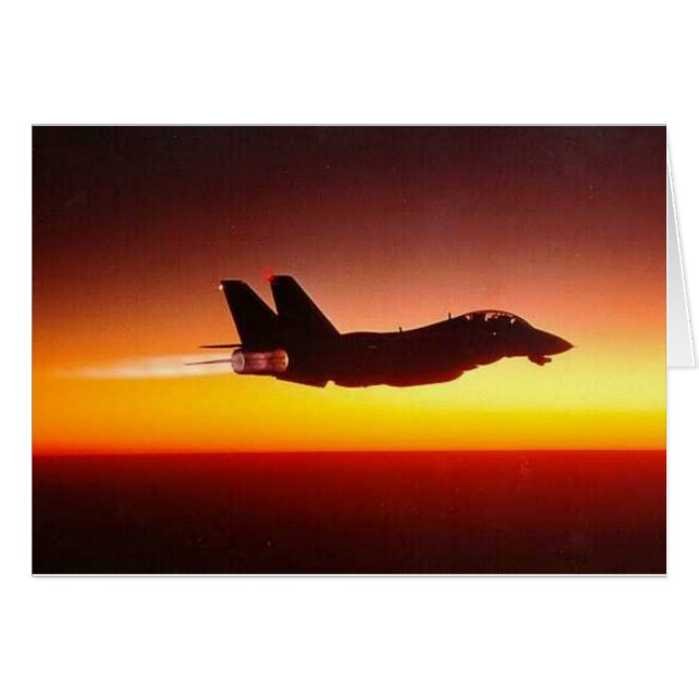 F-14 TOMCAT DANS L'APRÈS-BRÛLANT (Devant horizontal)