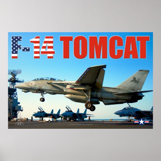 F-14 TOMCAT "HOOK DOWN" POSTER (Voorkant)