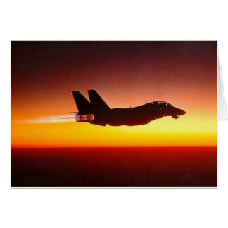 F-14 TOMCAT IN NA-BURNER