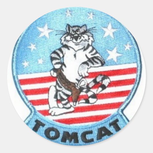 F-14 TOMCAT JET FIGHTER STICKERS (Voorkant)