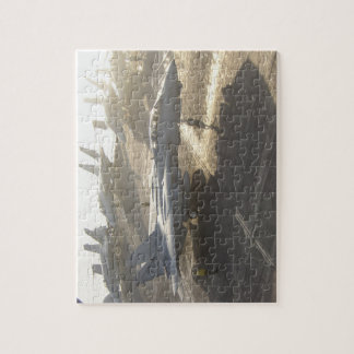 F-14 Tomcat Legpuzzel