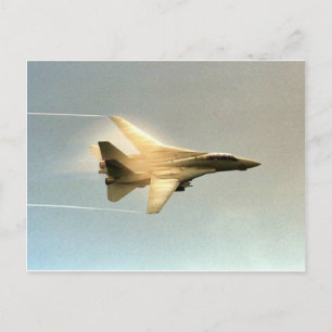 F-14 TOMCAT MET DAMP BRIEFKAART