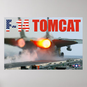 F-14 TOMCAT "NAVERBRANDER" POSTER