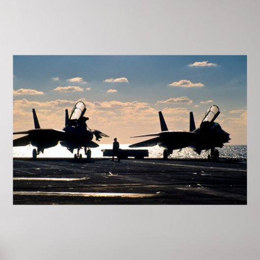 F-14 Tomcat Poster (Voorkant)