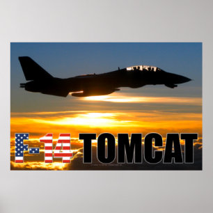 F-14 TOMCAT POSTER