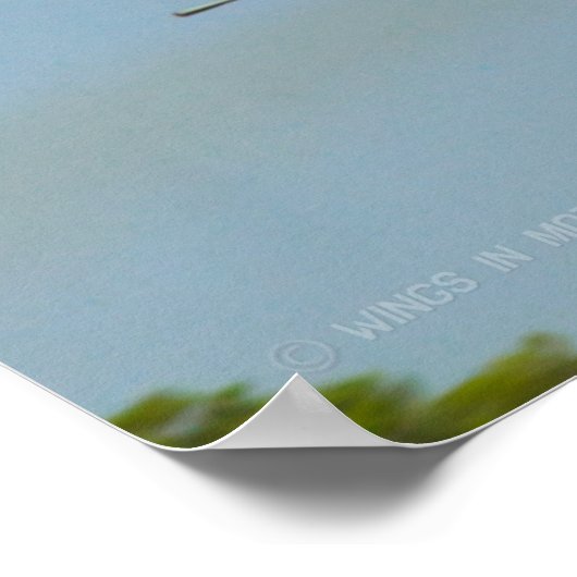 F-14 TOMCAT POSTER (Hoek)