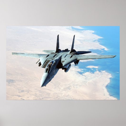 F-14 Tomcat Poster (Voorkant)