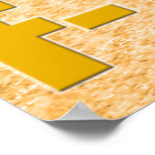 F-14 TOMCAT POSTER (Hoek)