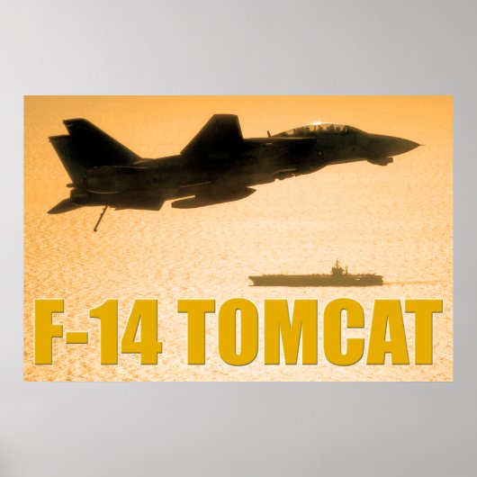 F-14 TOMCAT POSTER (Voorkant)