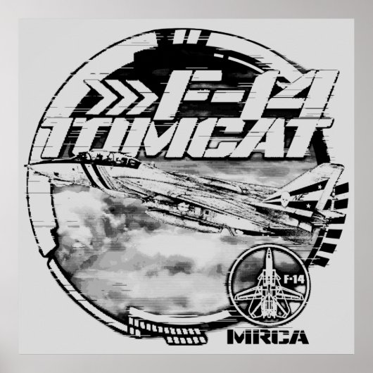 F-14 Tomcat Poster (Voorkant)