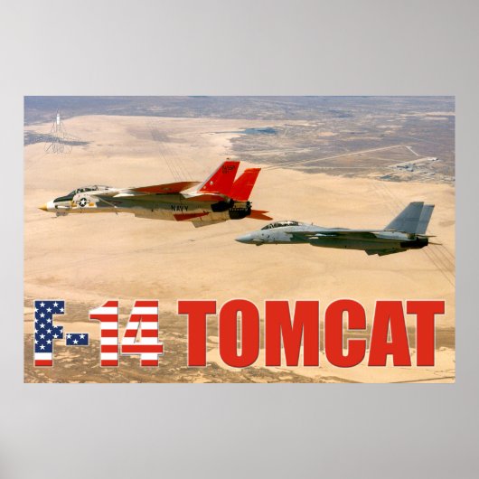 F-14 TOMCAT "WINGMAN" POSTER (Voorkant)