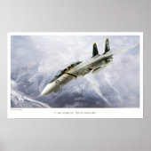 F-14A TOMCAT VF-84 JOLLY ROGERS POSTER (Voorkant)